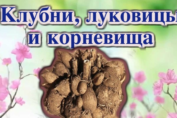 Короткая ссылка на омг